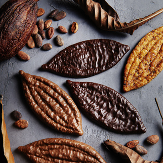 メッセージ画像