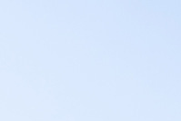 imageUrl