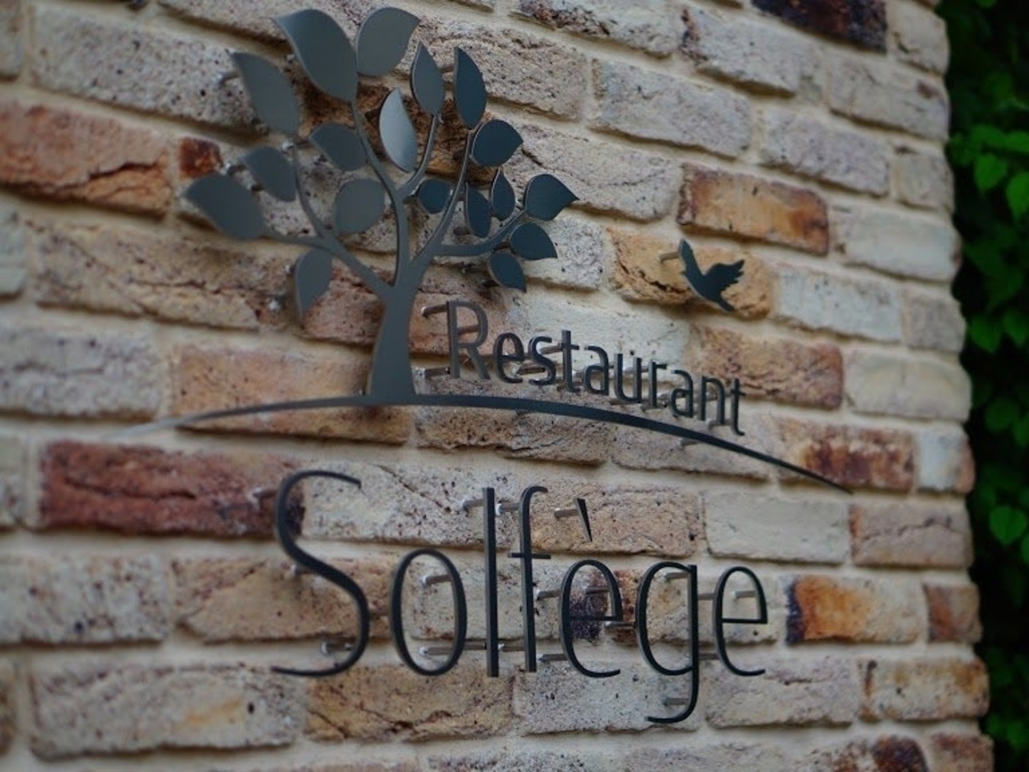 事業所 Restaurant Solfége