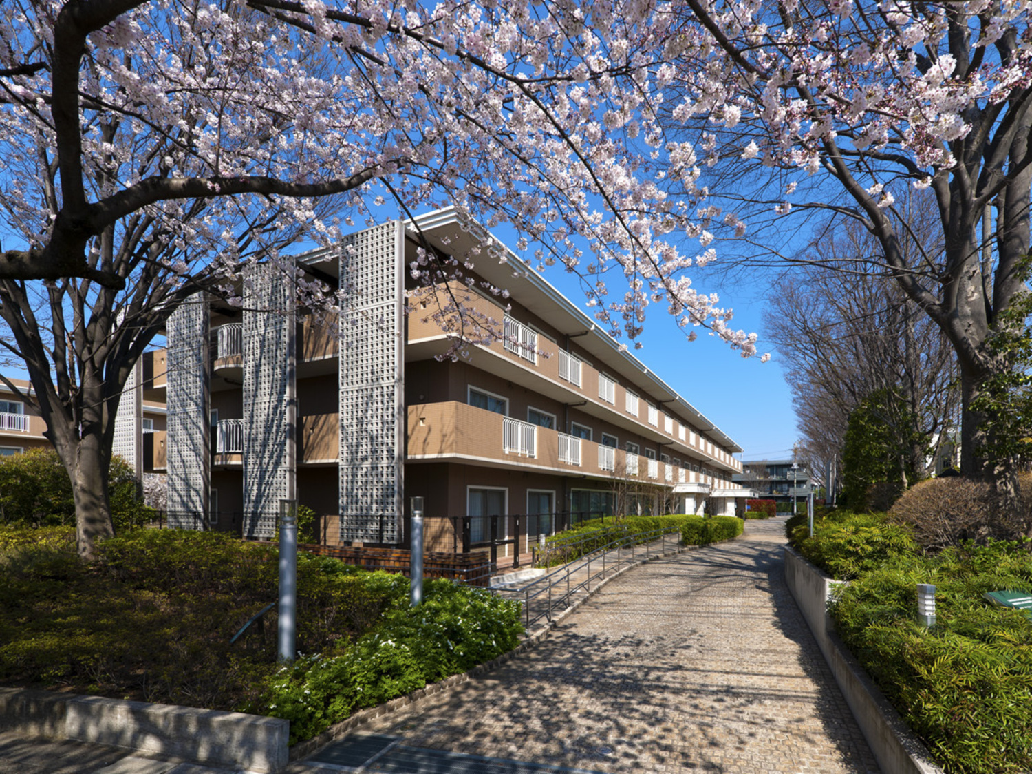 事業所 トラストガーデン用賀の杜