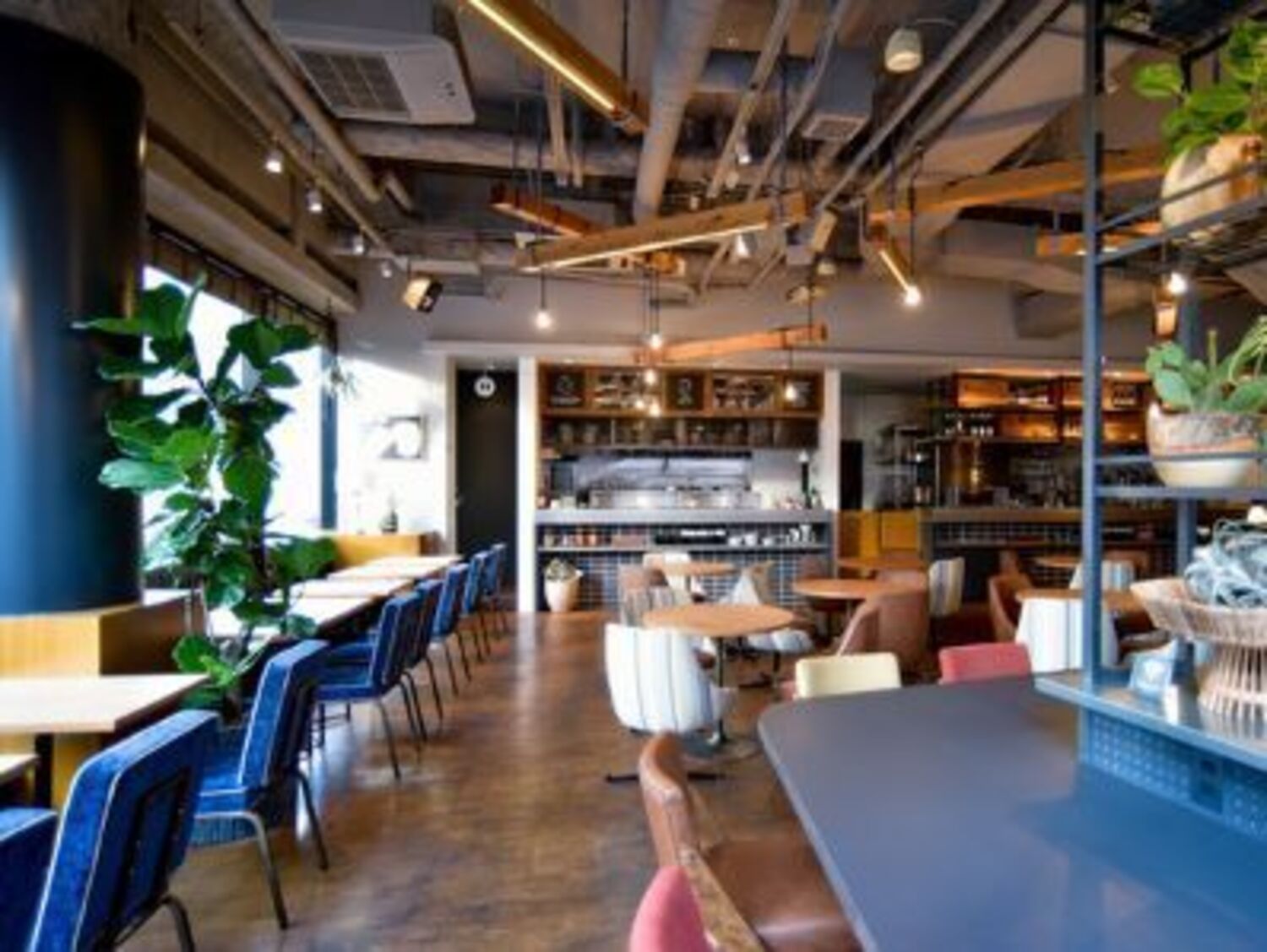 事業所 WIRED CAFE 梅田NUchayamachi店