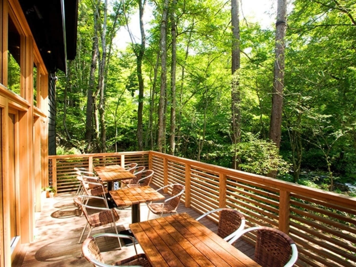 事業所 せきれい橋 川上庵