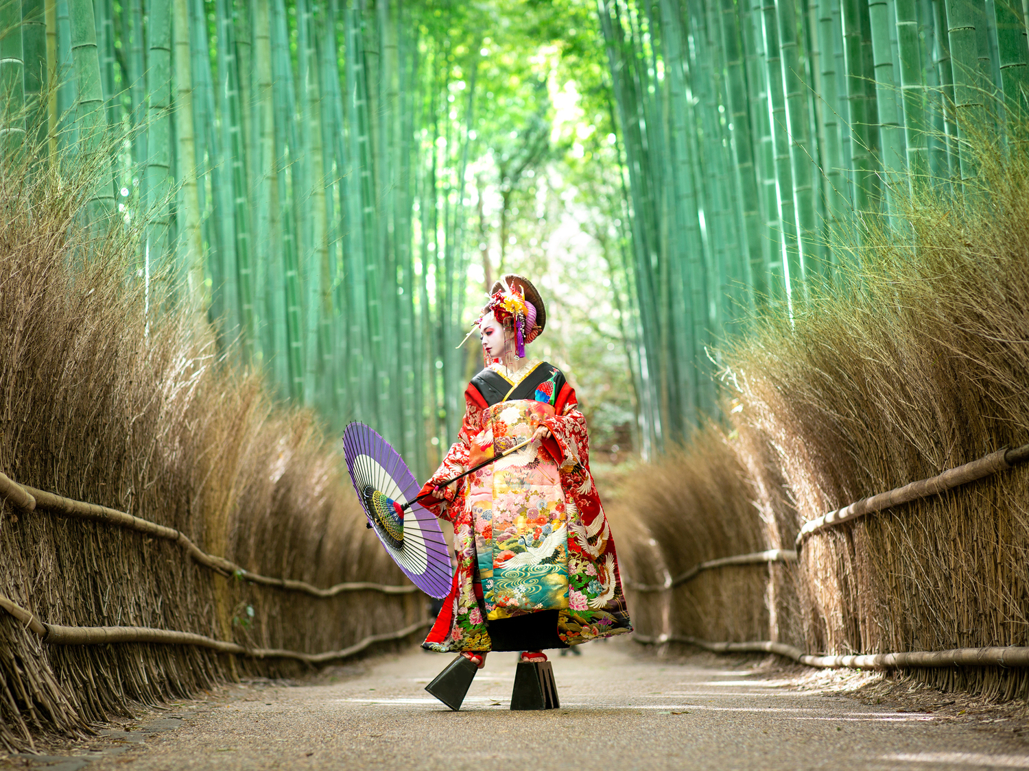 事業所 STUDIO KOKORO ARASHIYAMA