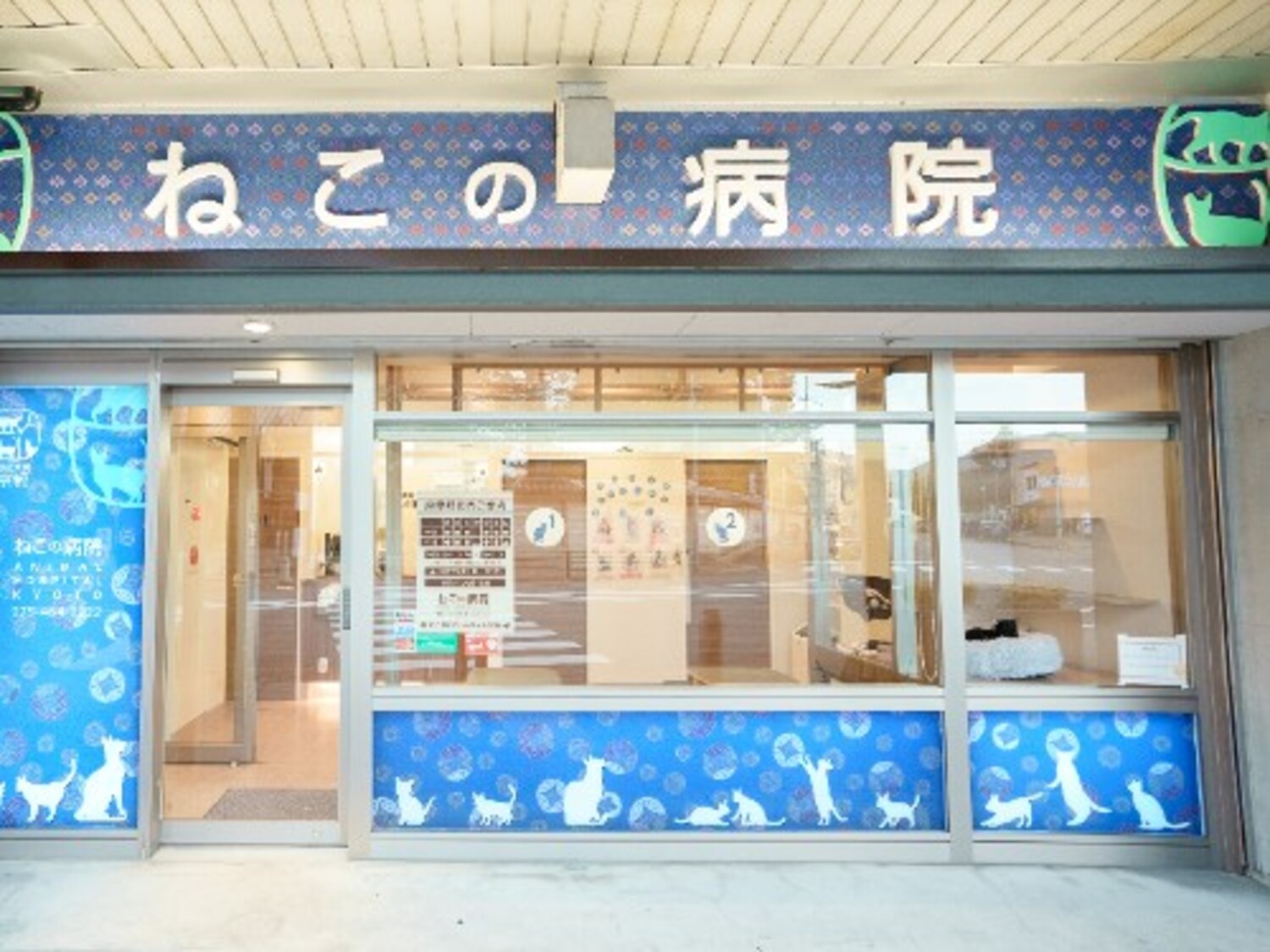 事業所 動物病院京都 ねこの病院