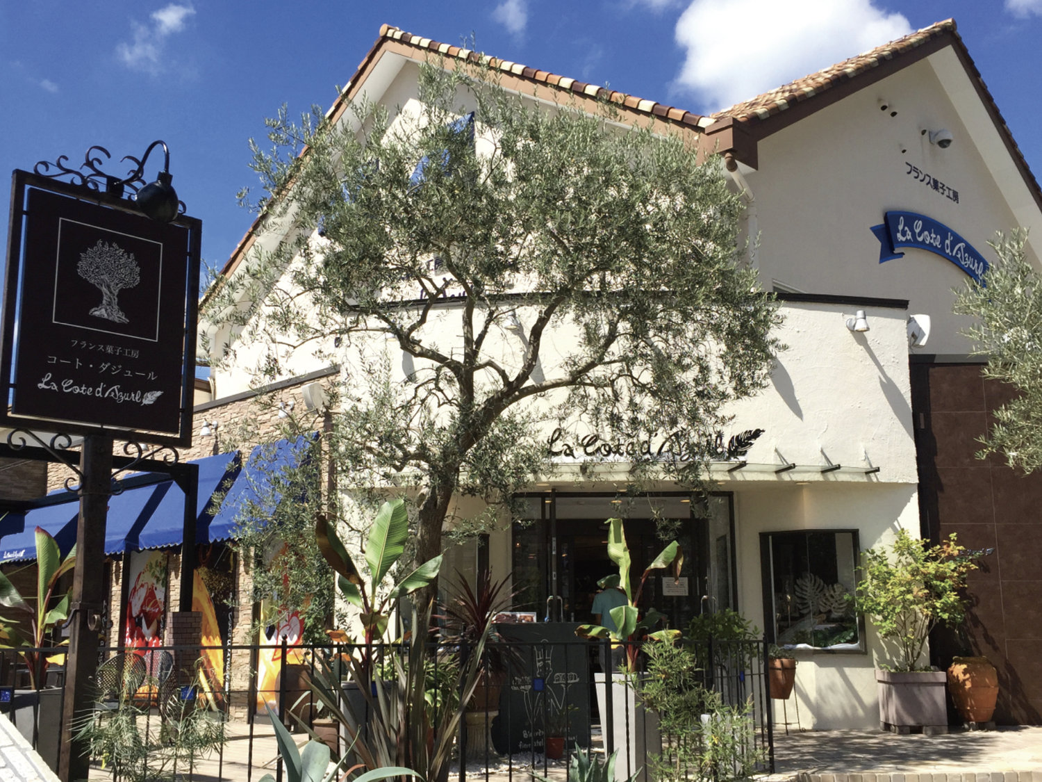 事業所 本社/本店