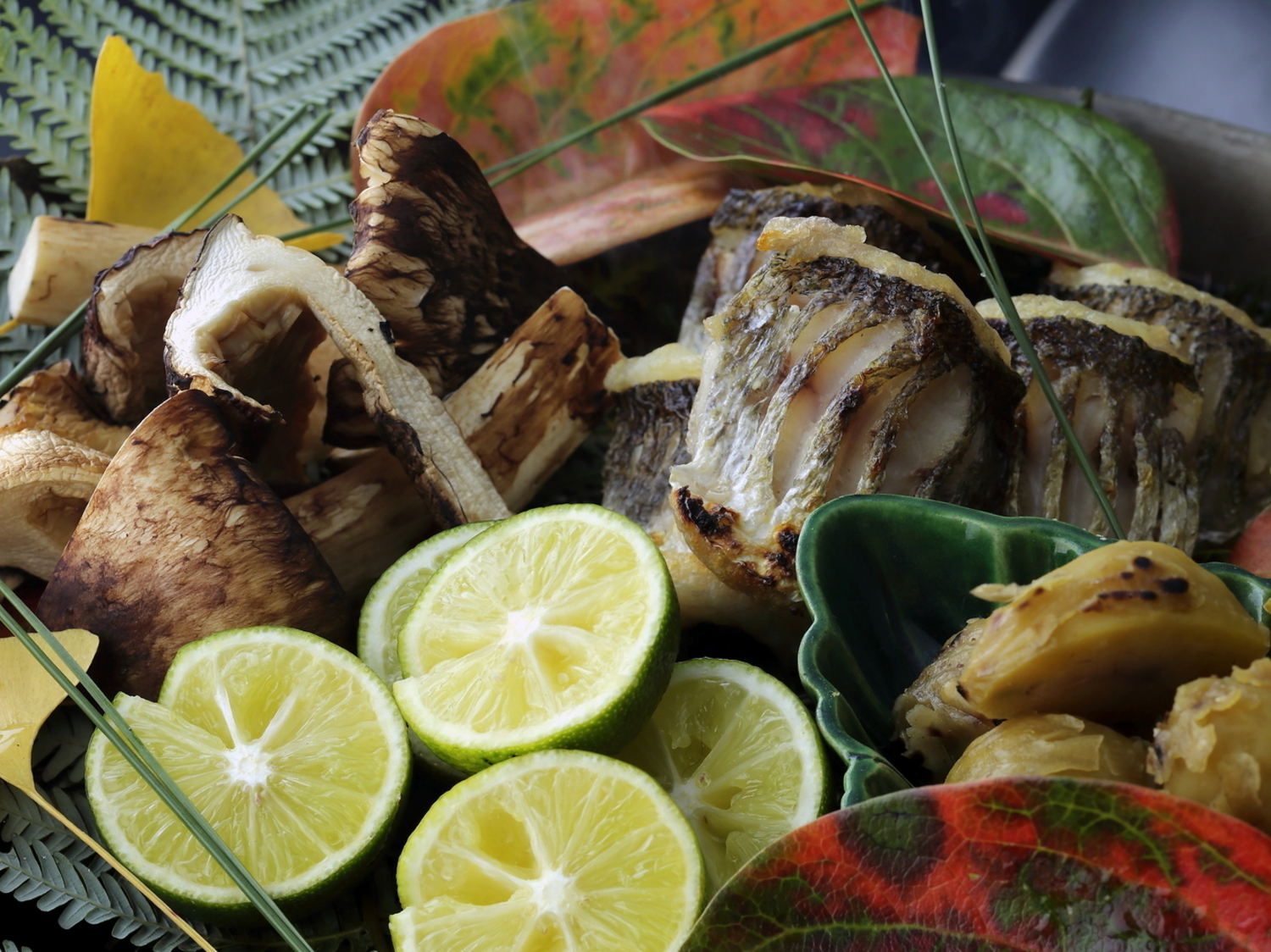 事業所 本家 たん熊 本店