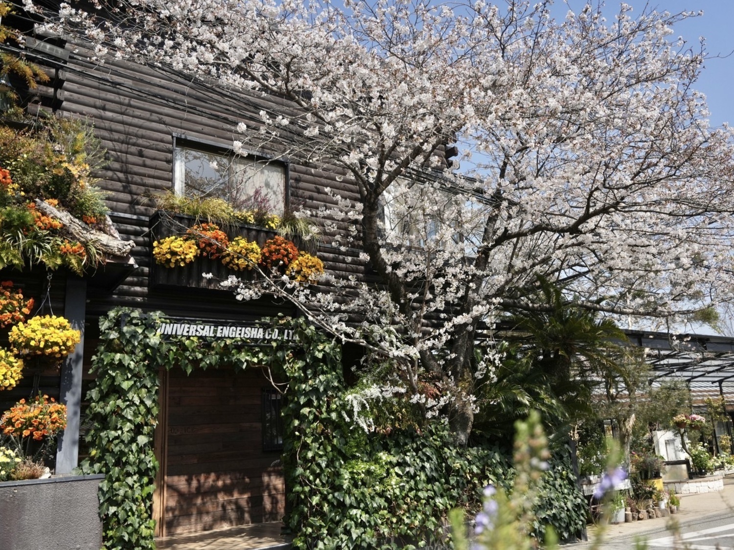 事業所 大阪本社