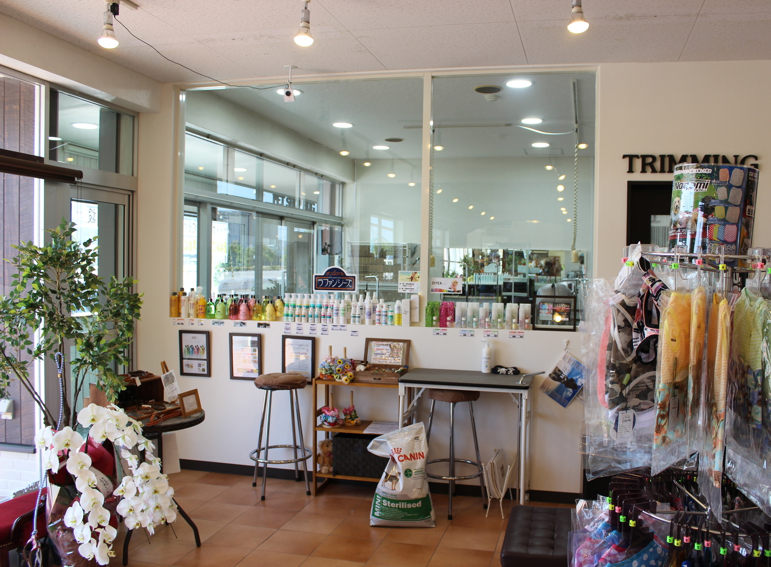 事業所 ペットショップHUG（本店）