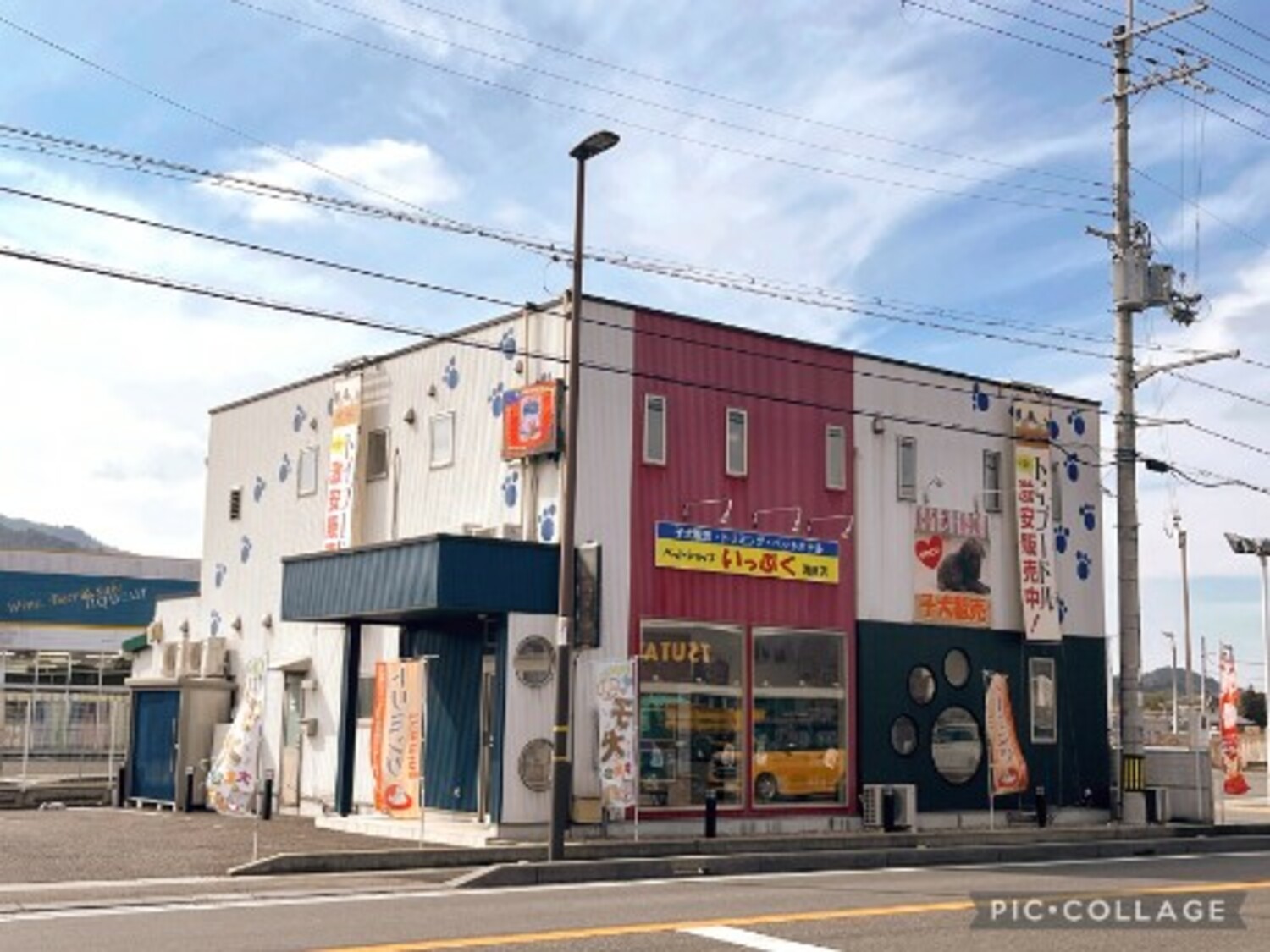 事業所 ペットショップいっぷく　湖南店