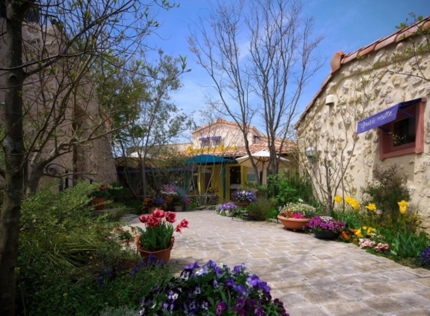 事業所 キャナリィ・ロウ本店