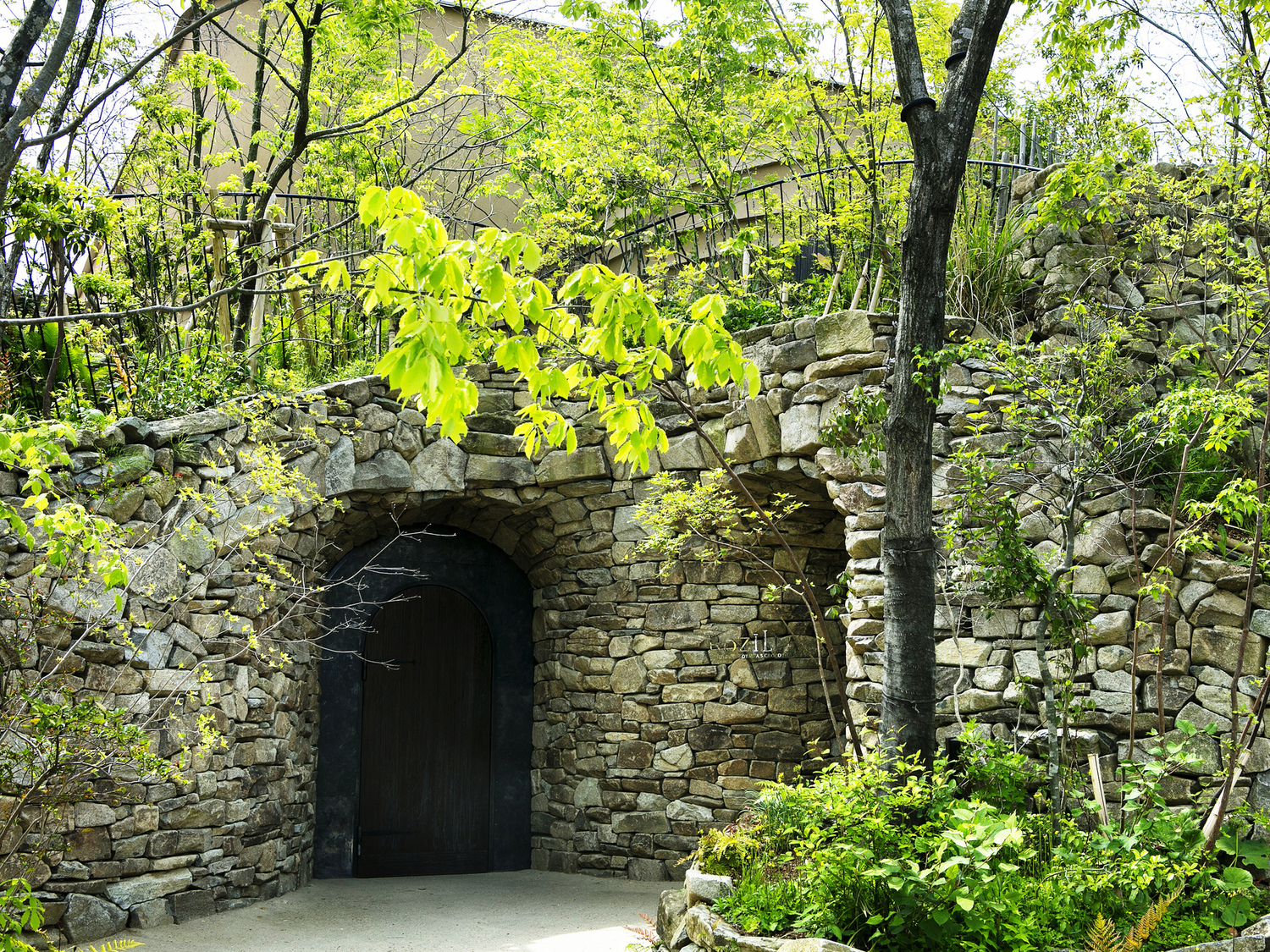 事業所 株式会社パティシエ　エス　コヤマ