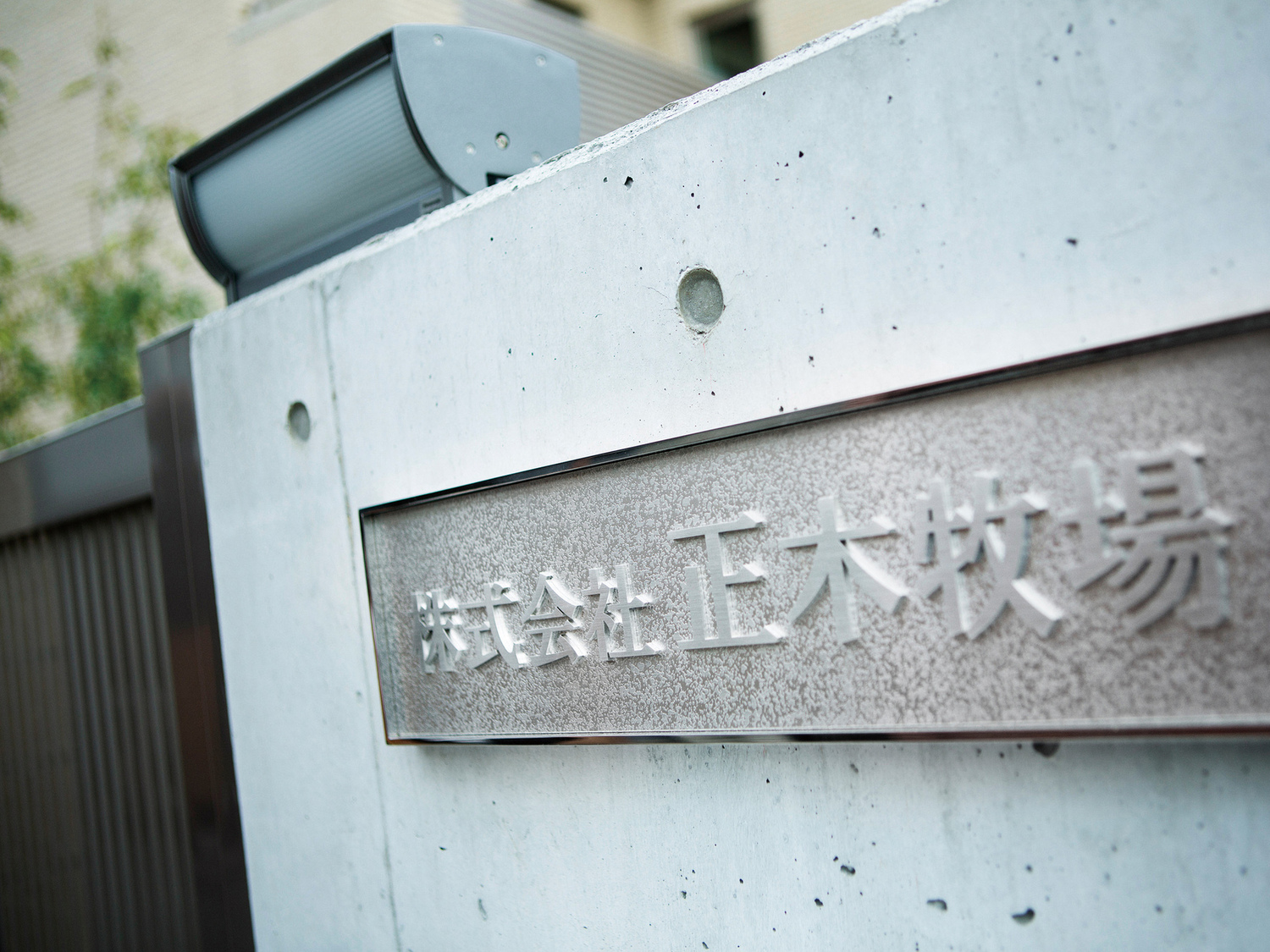 事業所 本社(洋菓子製造工場)