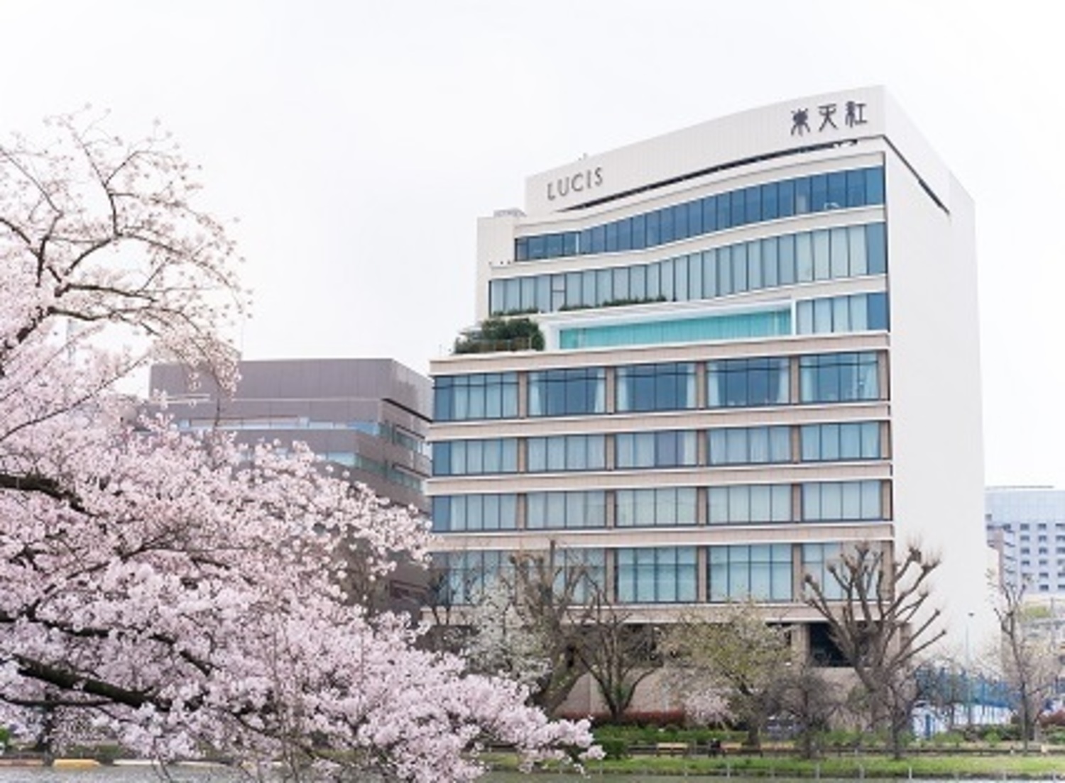 事業所 上野本店（本社）