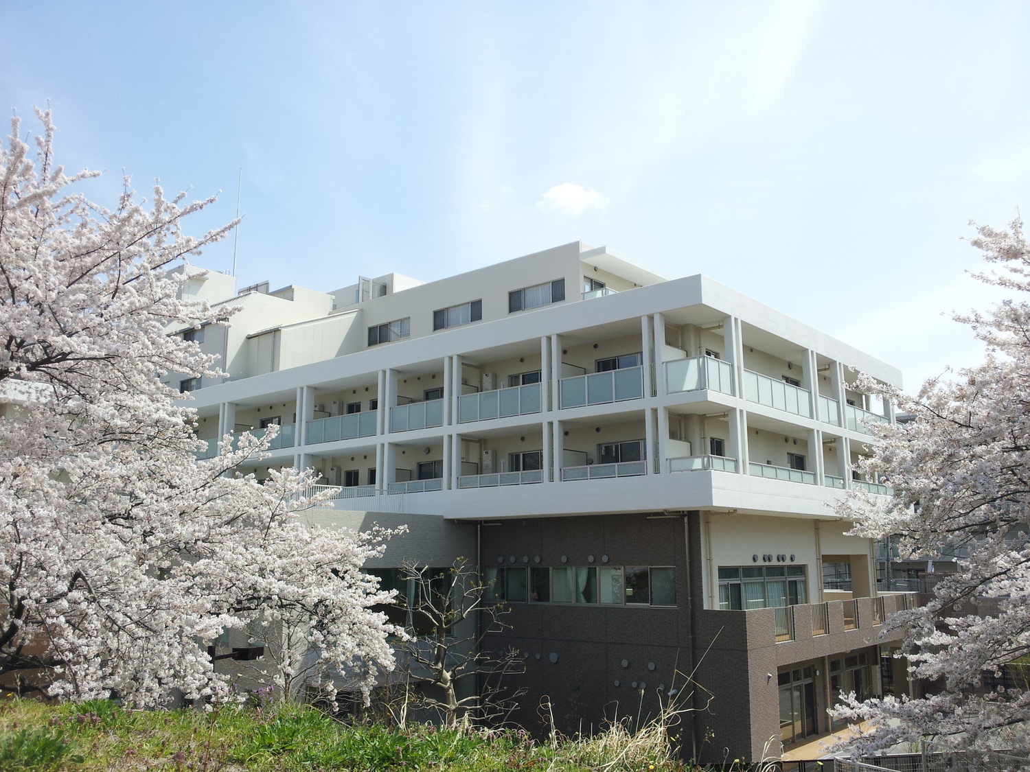 オフィス画像