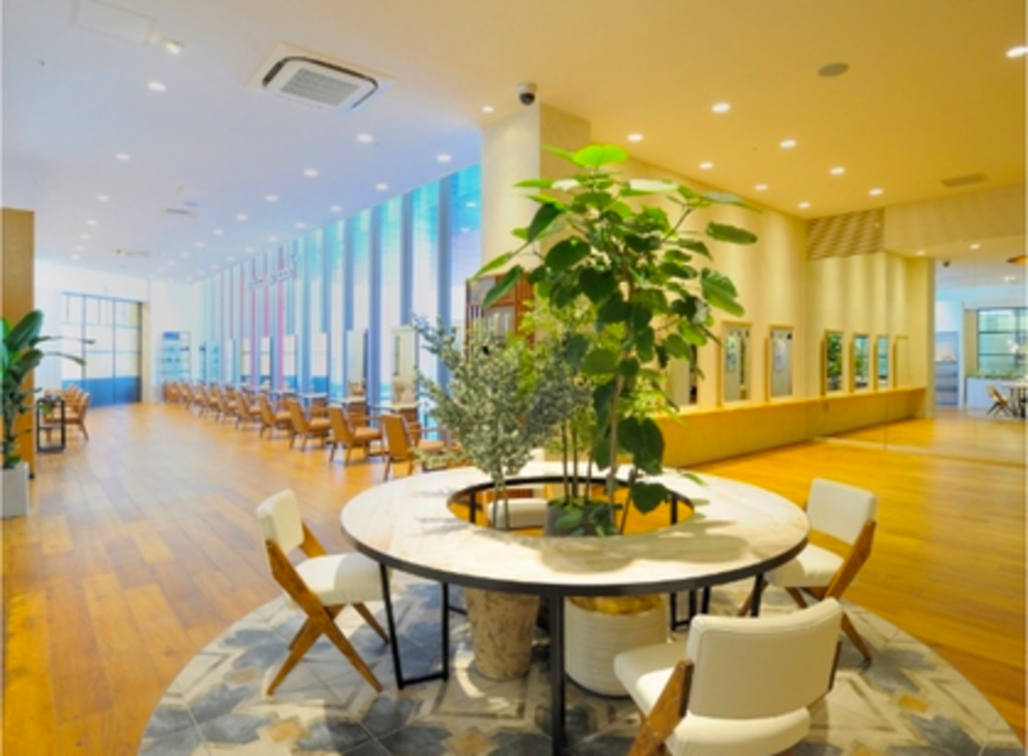 事業所 TerraceAVEDAららぽーとEXPOCITY店