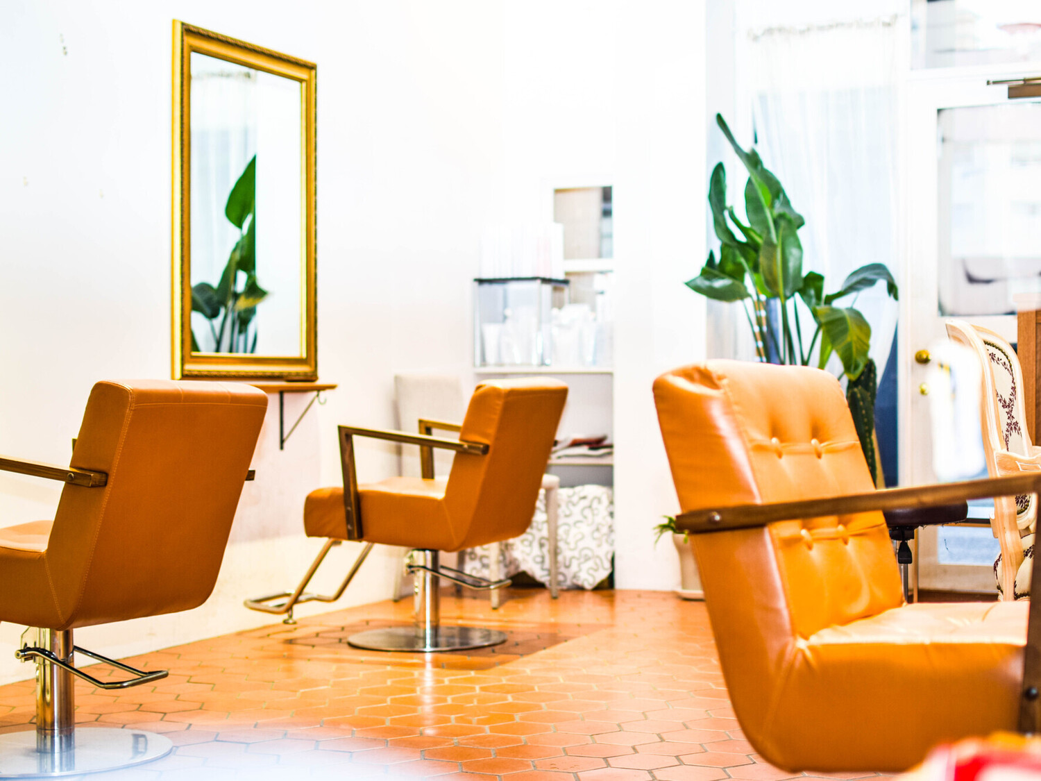 事業所 cannahairmaison