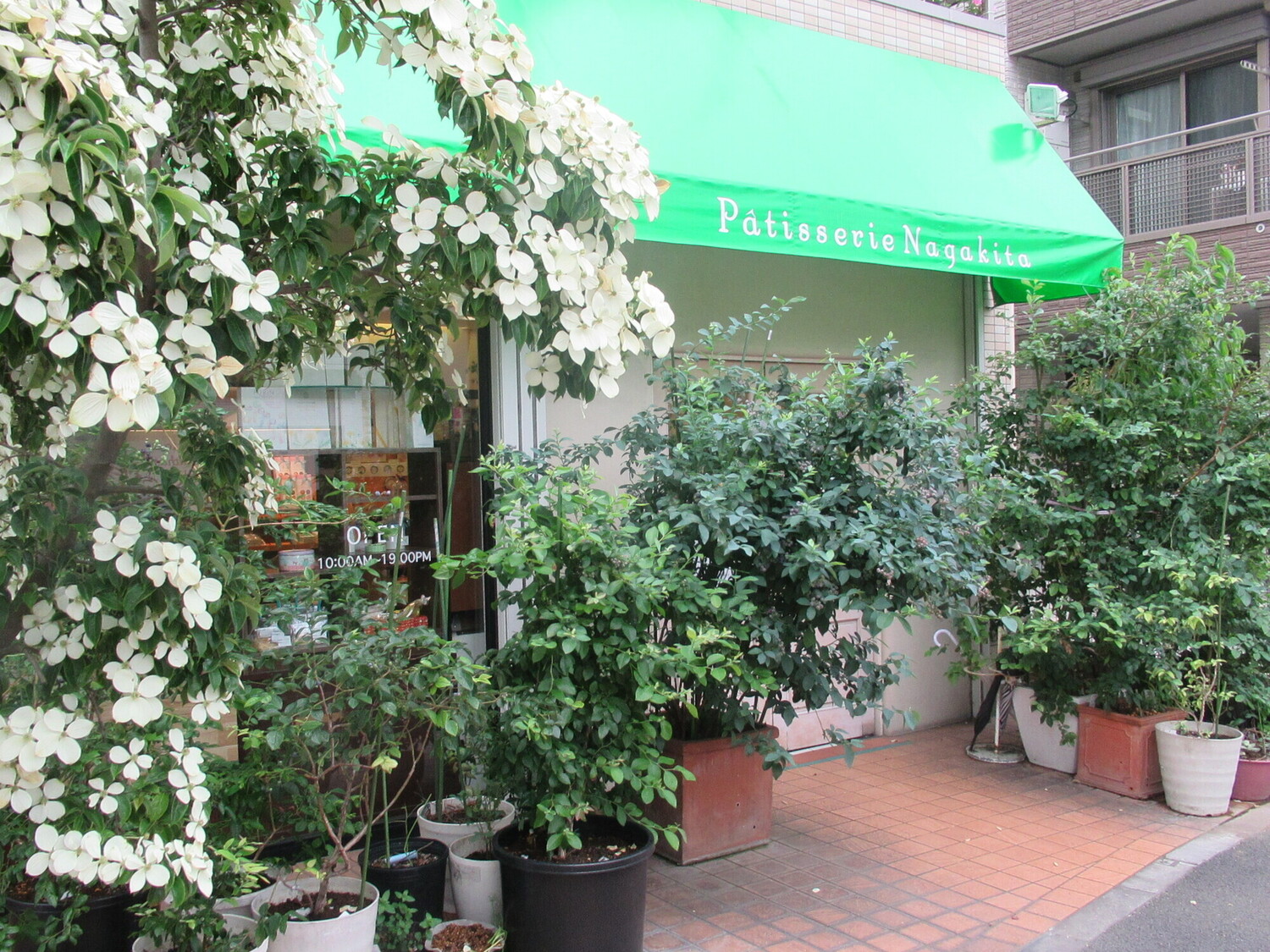 事業所 パティスリー・ナガキタ