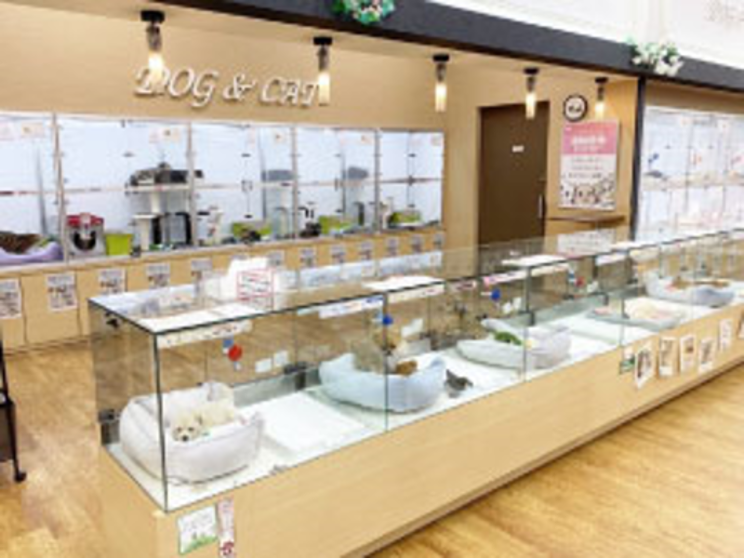 事業所 空港ドッグセンターなんば店