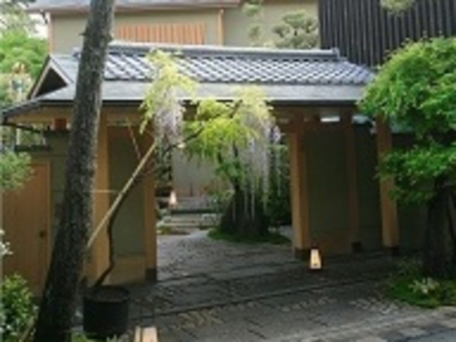 事業所 平等院表参道　竹林 