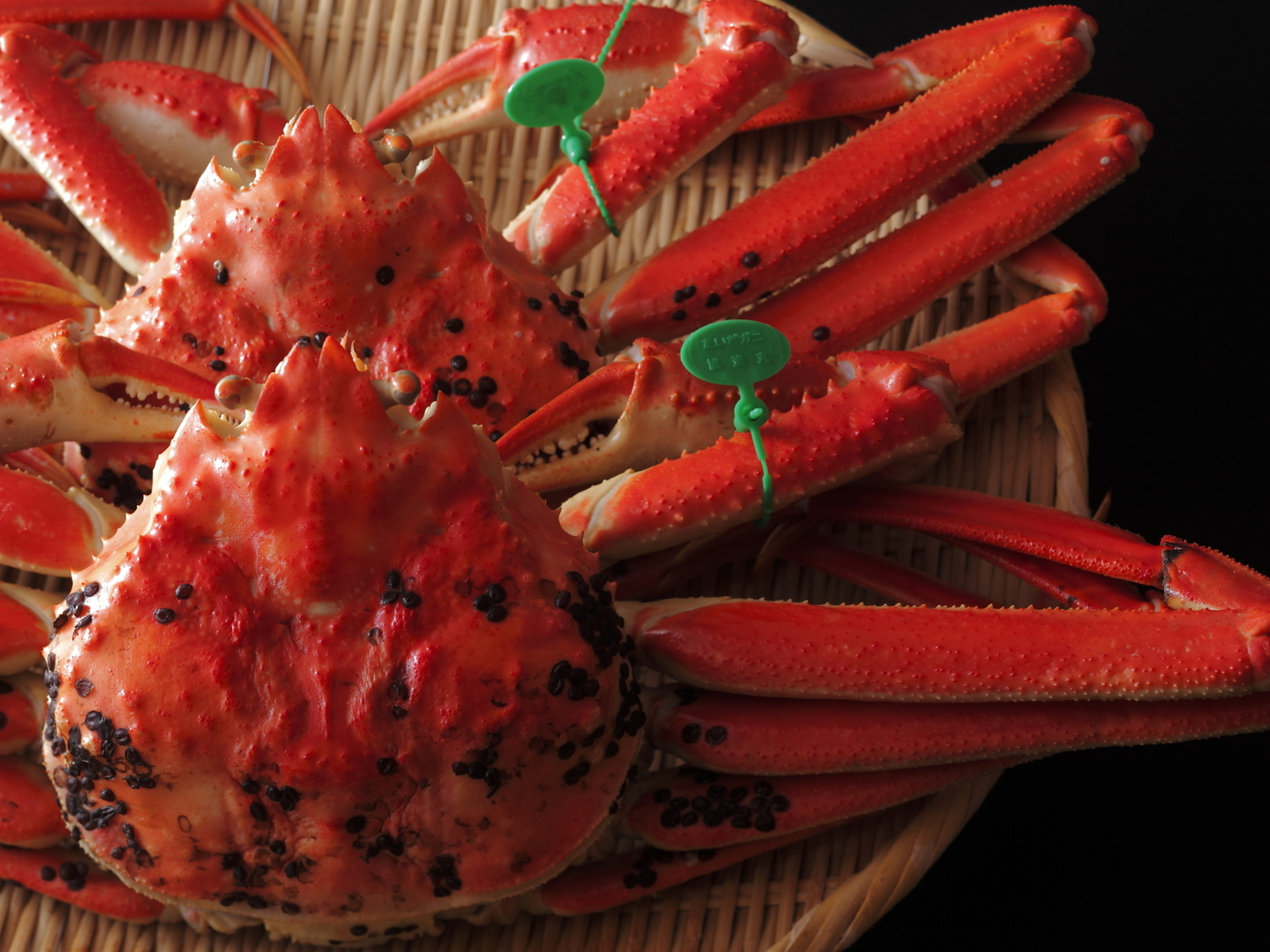 事業所 間人温泉　炭平