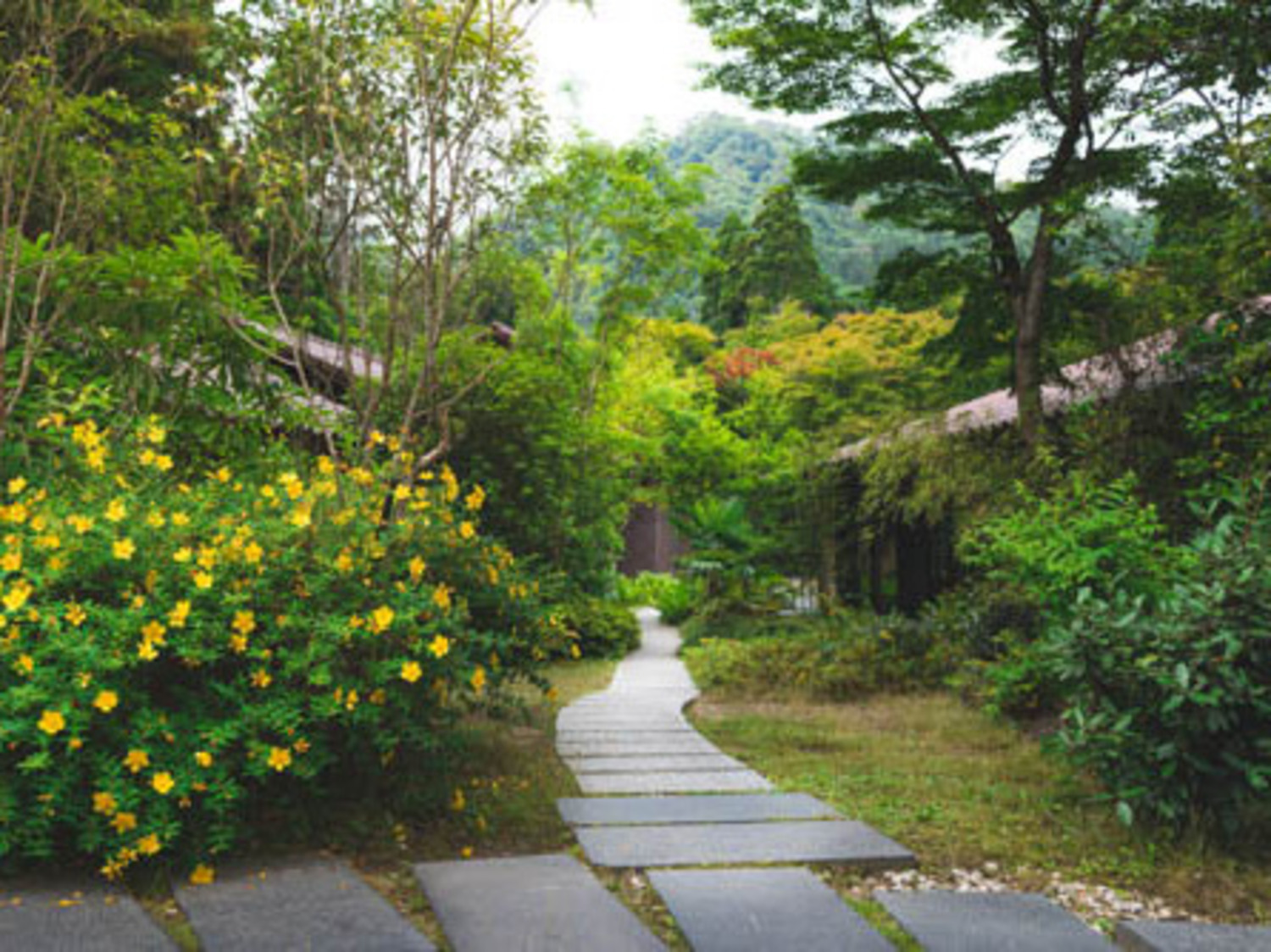 事業所 有馬山叢 御所別墅