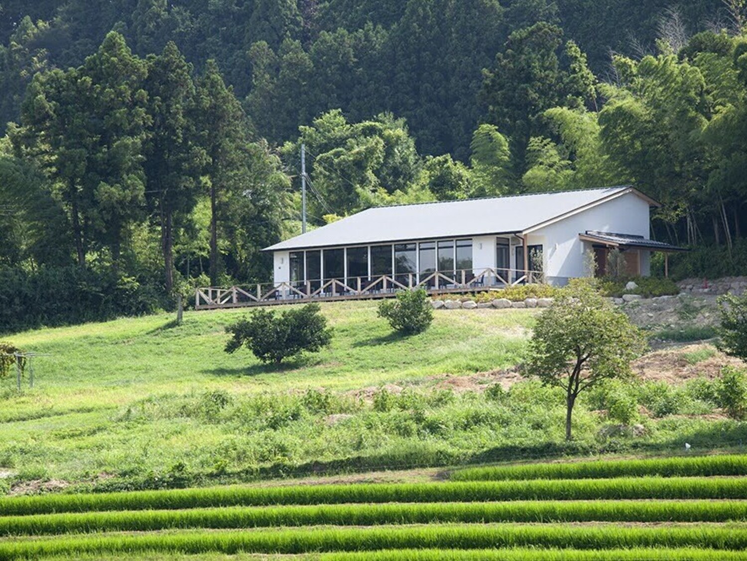 事業所 大和四季旬菜　白雲庵　BYAKU-UN-AN