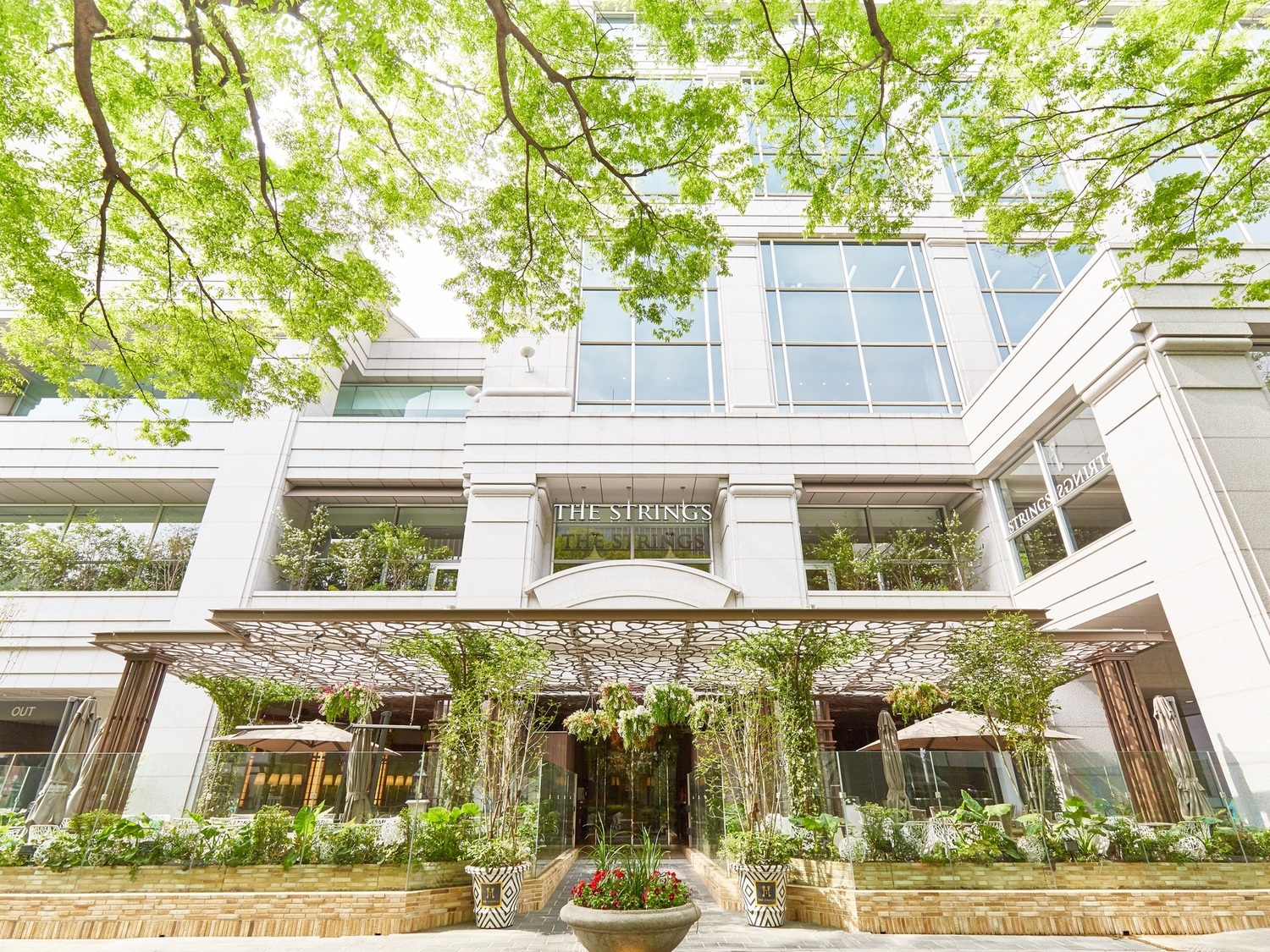 事業所 ザ ストリングス 表参道