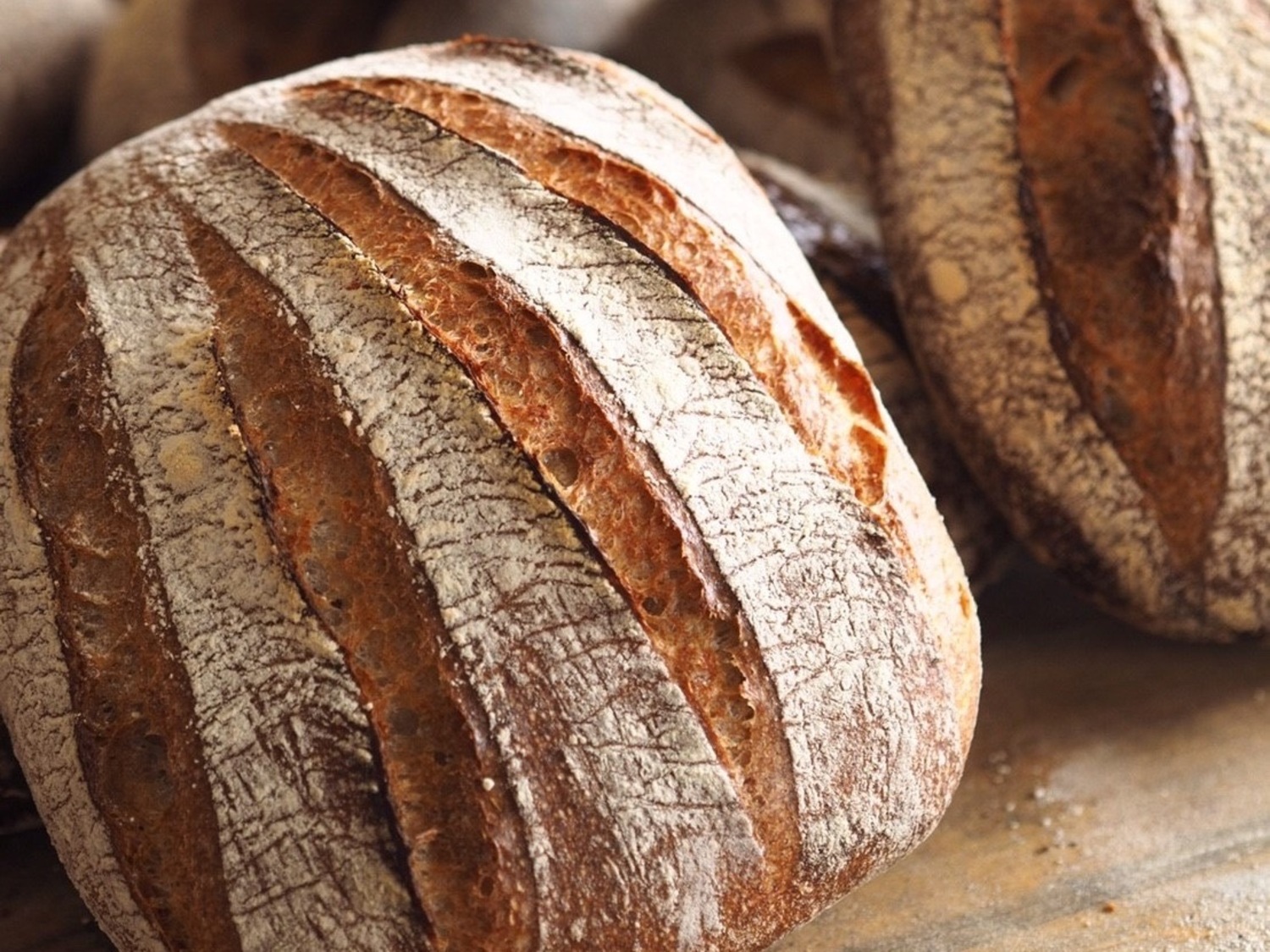 事業所  KANEL BREAD  