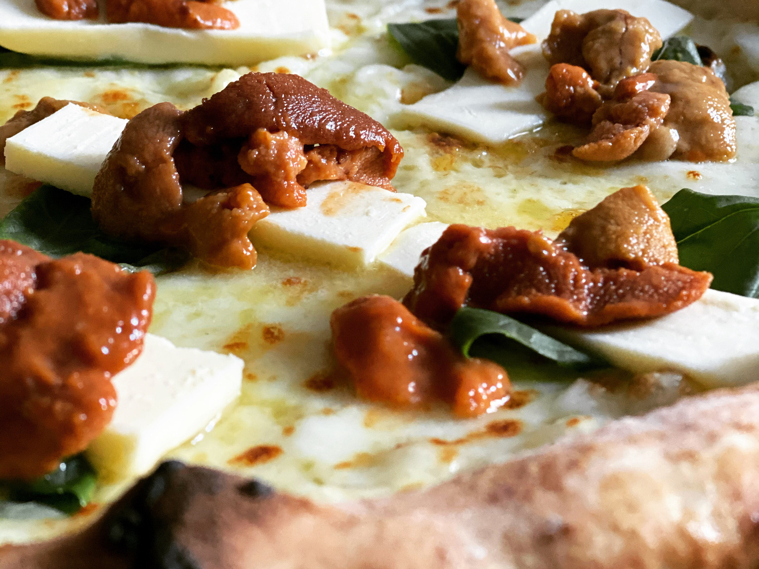 事業所 Trattoria e Pizzeria 築地トゥットベーネ