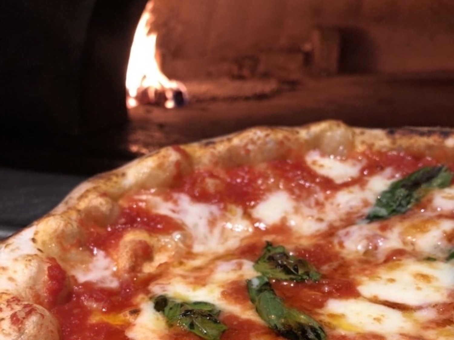 事業所 Trattoria e Pizzeria 築地トゥットベーネ