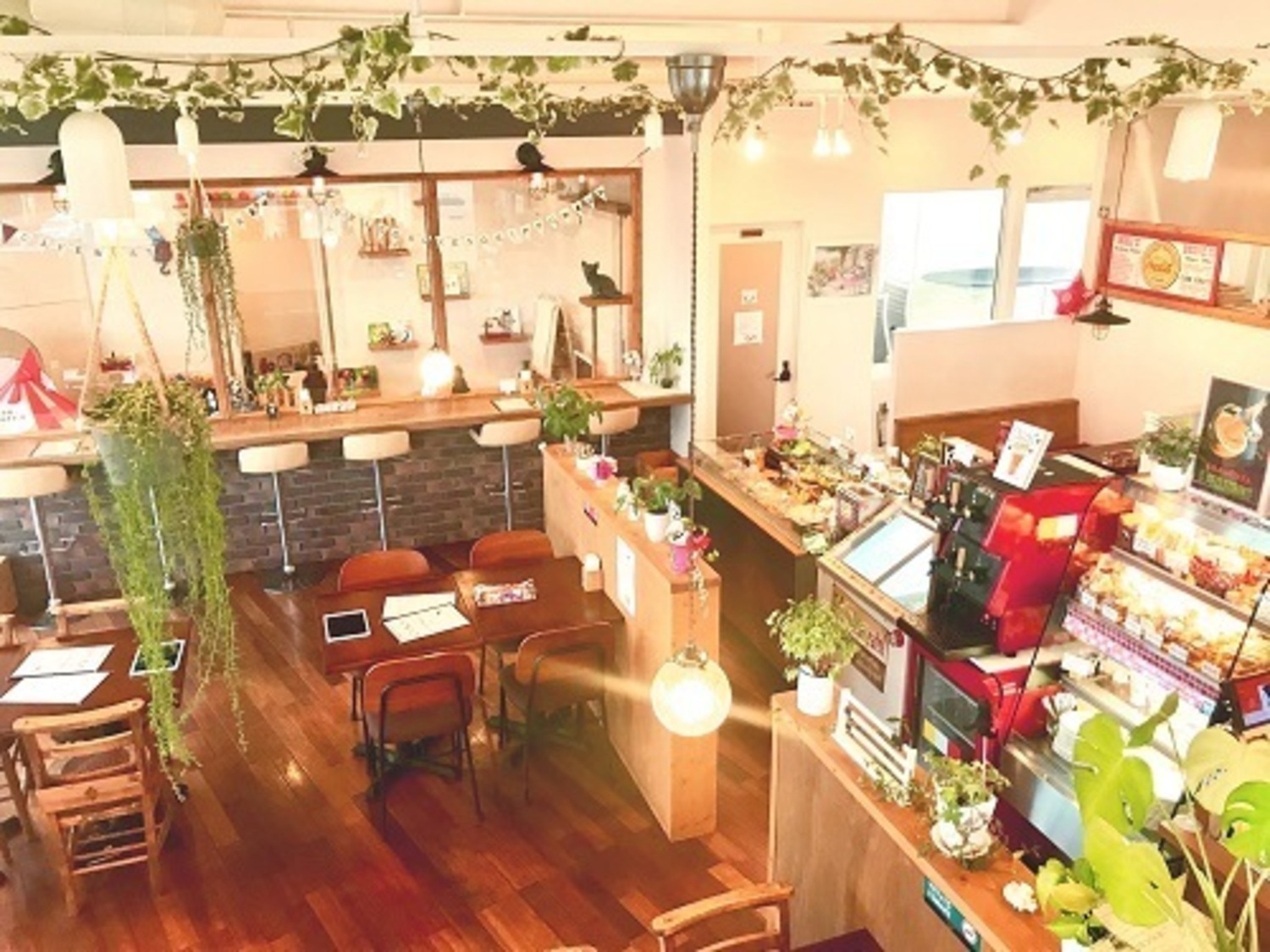 事業所 石焼パンケーキ 蔵之助 &Cat Cafe 蔵之助のしっぽ
