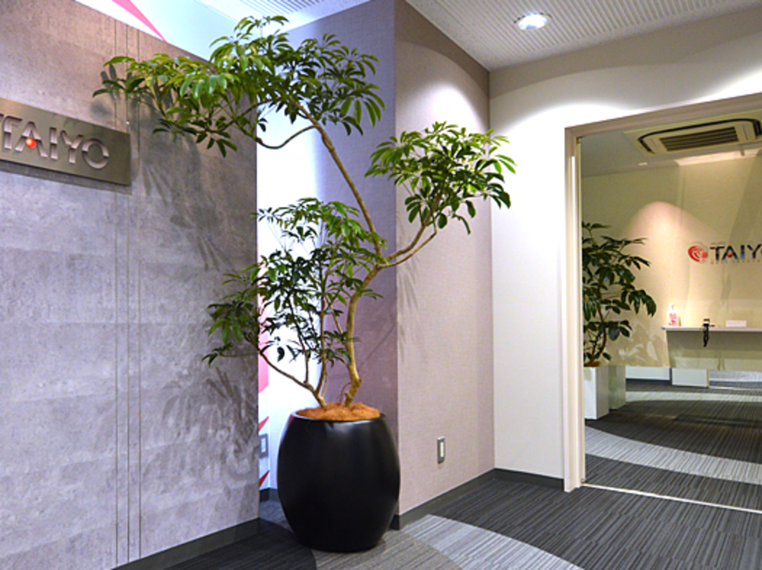 事業所 東京本店