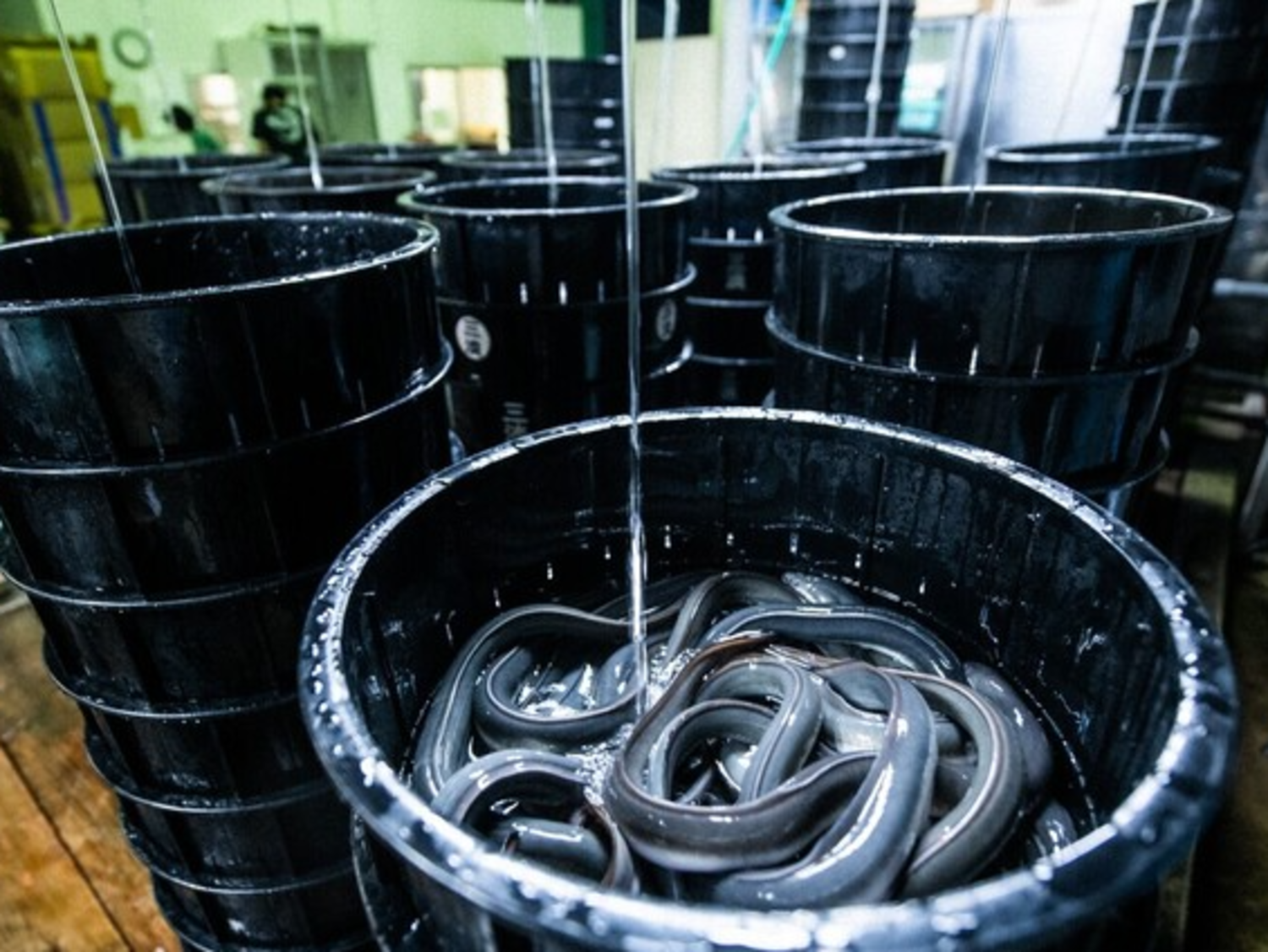 事業所 ミッドランドスクエア名古屋本店