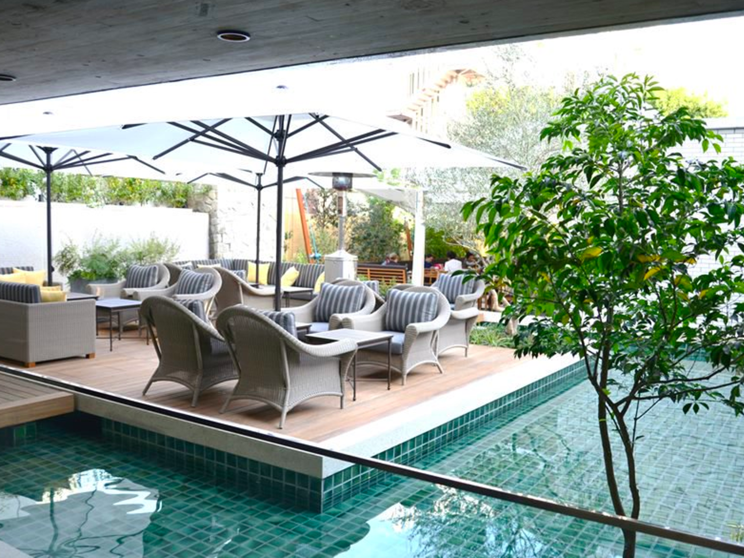 事業所 CICADA（レストラン / 料理ジャンル：イタリアン、スパニッシュを基本とした環地中海料理）