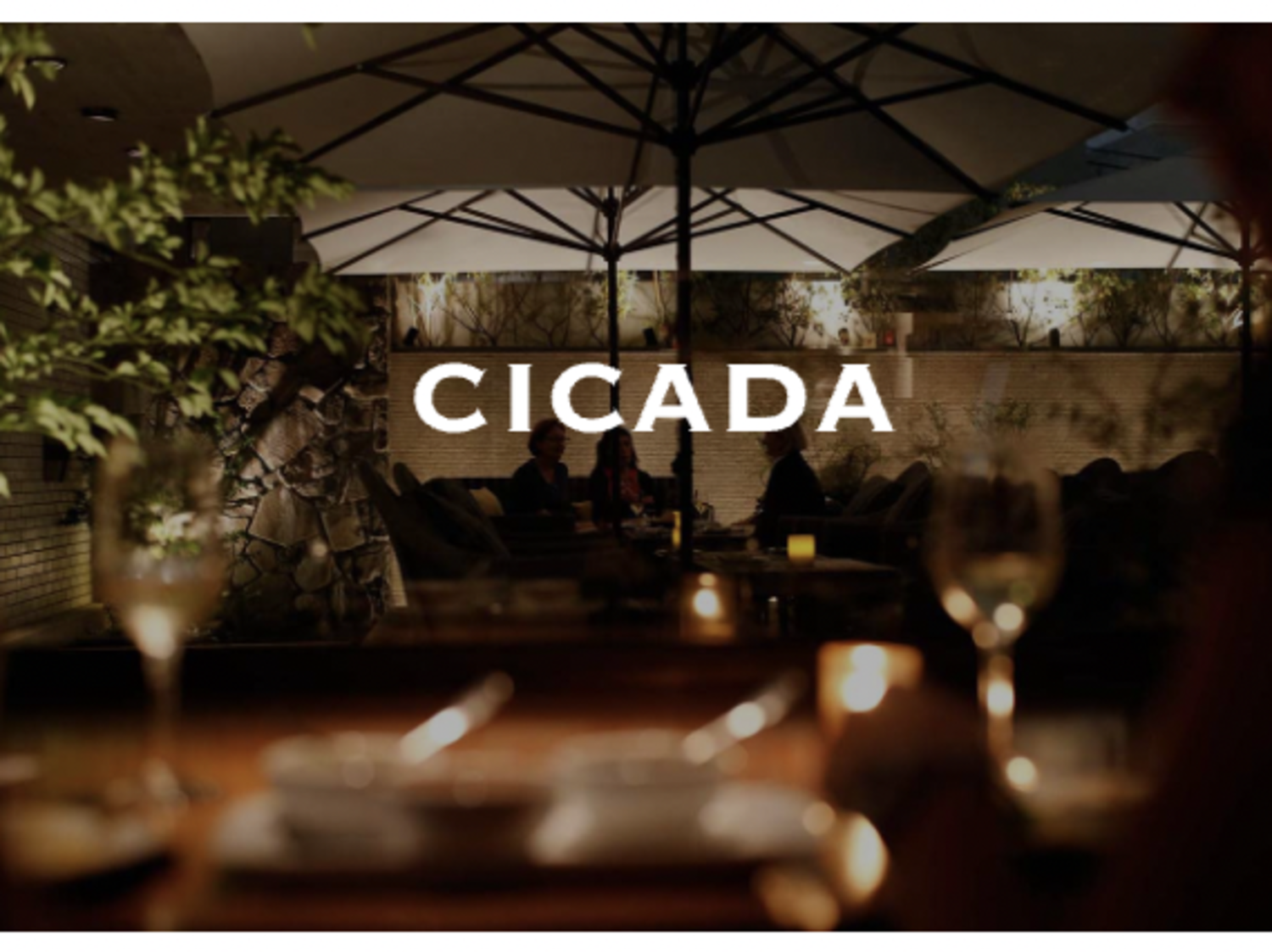 事業所 CICADA（レストラン / 料理ジャンル：イタリアン、スパニッシュを基本とした環地中海料理）