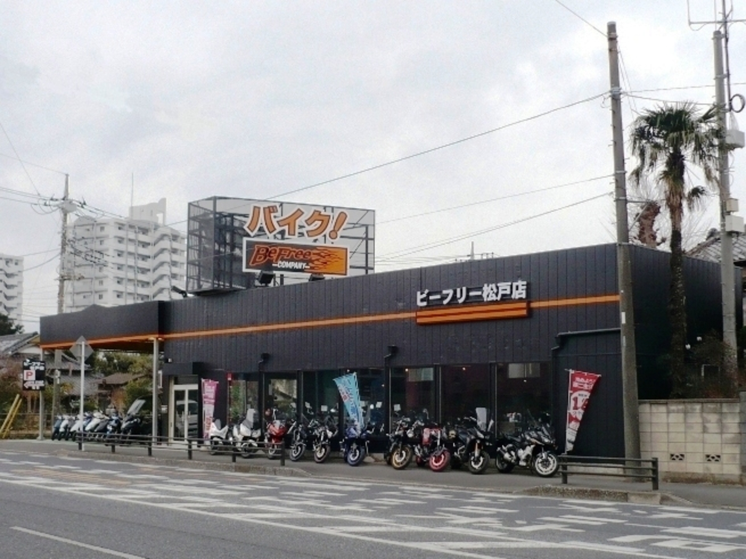 事業所 ビーフリー松戸店