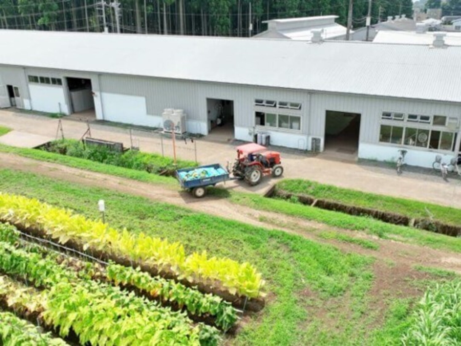 事業所 たばこR&Dグループ　小山事業所