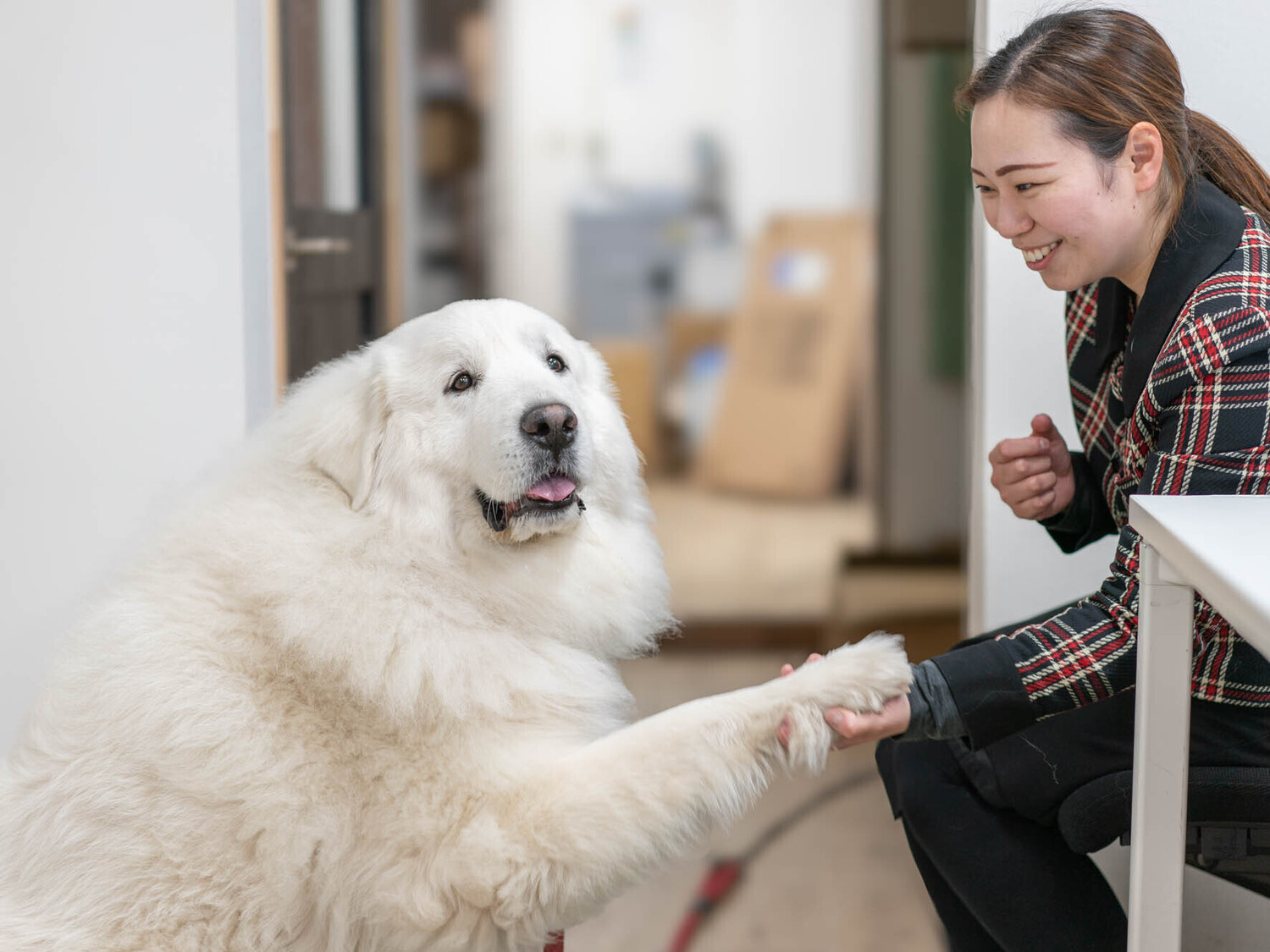 事業所 エンゼルフォレスト白河高原
