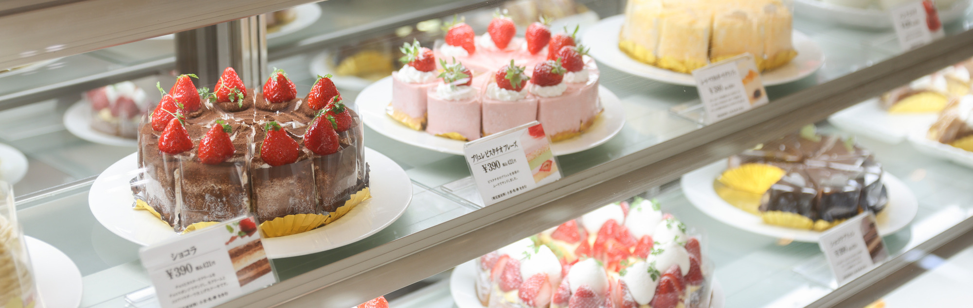 株式会社デリチュースのjrグループで安定感 お客様が笑顔になる販売のお仕事 求人 専門学校の就活no 1サイト キャリアマップ 株式会社デリチュースのjrグループで安定感 お客様が笑顔になる販売のお仕事 求人 専門学校の就活no 1サイト キャリアマップ