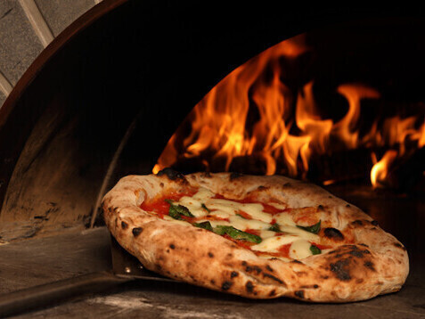 ELMO・立飲ビストロRyo・寿司とおでんコエド（有限会社ソフトライン）の仕事内容