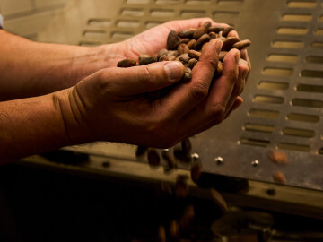 LES TEMPS PLUS(レタンプリュス)／CALATIR（カラティール）【株式会社パスレル】の求める人物像