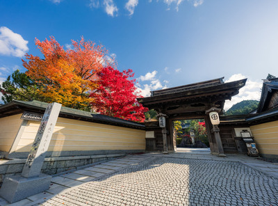 石川 泰子さんの活躍 ロゴ