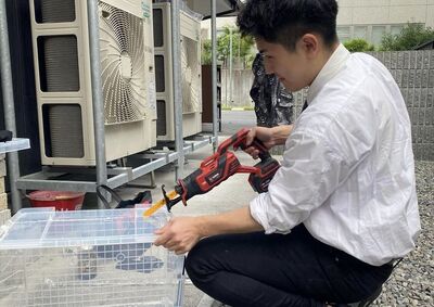今日は包丁でなく電ノコ