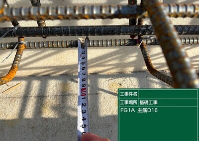 N Sさんの活躍 ロゴ
