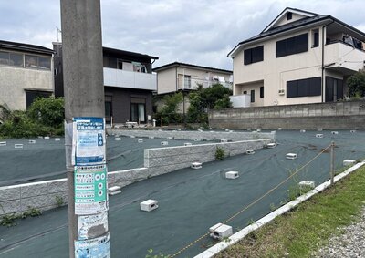 N Sさんの活躍 ロゴ